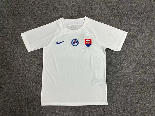 2024 Slovakia Away Kit